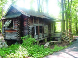 Kingfisher Cabin